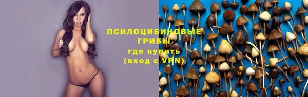 стаф Покровск
