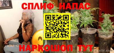 прущие грибы Аргун