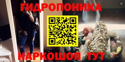 стаф Волжский