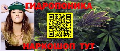 молекула духа Гагарин