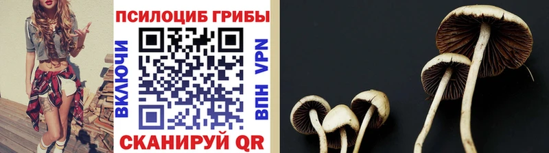 Галлюциногенные грибы MAGIC MUSHROOMS  Старая Купавна 