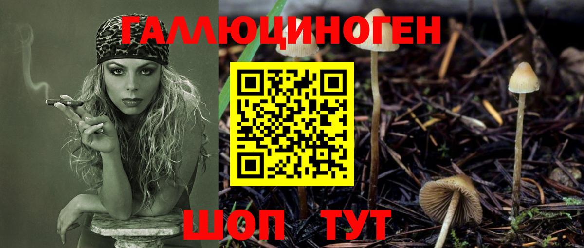 Старая Купавна  Галлюциногенные грибы Psilocybe  Вход с VPN 